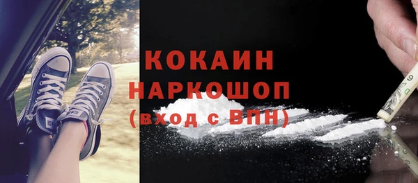 дживик Кулебаки